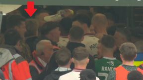 Sceny w Anglii. Puchacz w środku awantury [WIDEO]