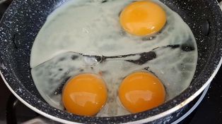 Takie jajko trafia się bardzo rzadko. Większość nie, co oznacza podwójne żółtko