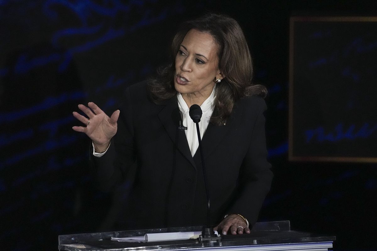 Kamala Harris, usa, Donald Trump Politolożka: Polacy mogą rozstrzygnąć losy wyborów w USA