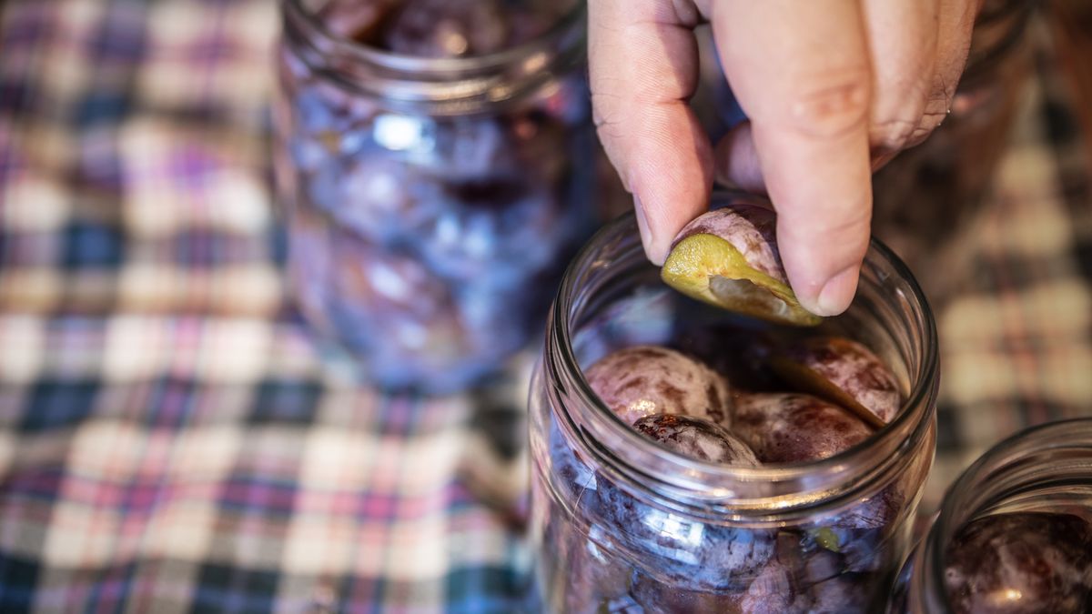 a man is filling glasses with plums, preparing for preserving the fruits, concept self supporter or gardening
a man is filling glasses with plums, preparing for preserving the fruits, concept self supporter or gardening
miriam-doerr