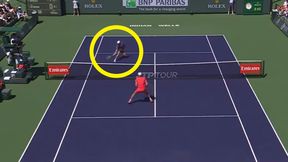 Niesamowite, co wyprawiał rywal Hurkacza. "Był wszędzie"