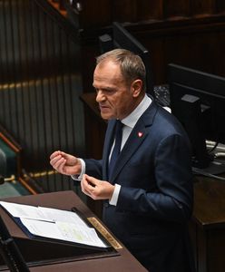 Krzyżówka polityczna. Sprawdź, czy wiesz wszystko o polityce
