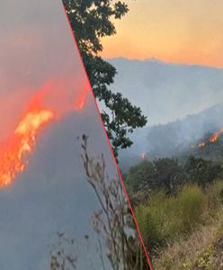 Korsyka płonie. Służby walczą z żywiołem na francuskiej wyspie