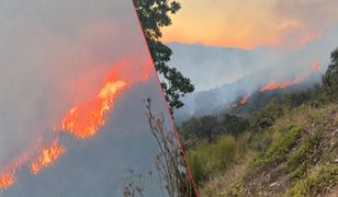 Korsyka płonie. Służby walczą z żywiołem na francuskiej wyspie