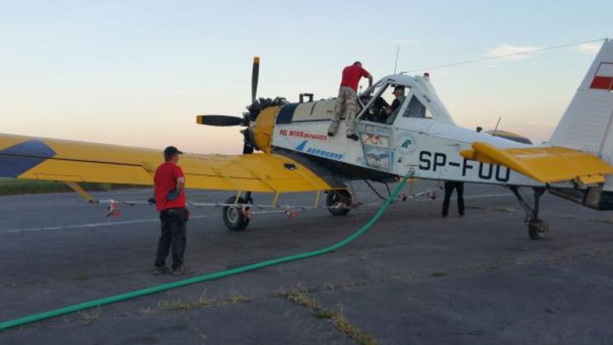 Reagują na zagrożenie od brudnicy mniszki.