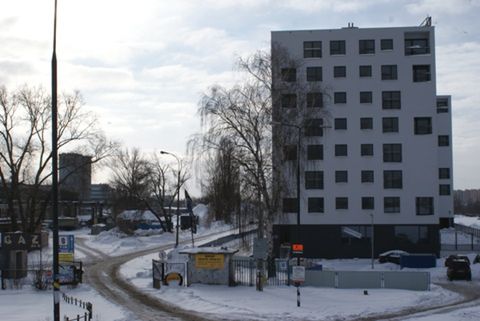Obraz