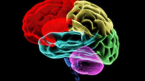 Używaj wyszukiwarki, będziesz mądrzejszy 1