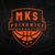 KGHM BC Polkowice