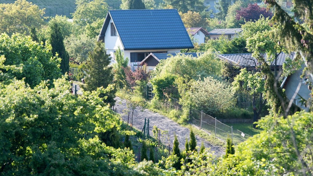 reporter_baza_2021-06
02.06.2021 Gdansk Ogrodki dzialkowe Fot. Wojciech Strozyk/REPORTER
Wojciech Strozyk/REPORTER