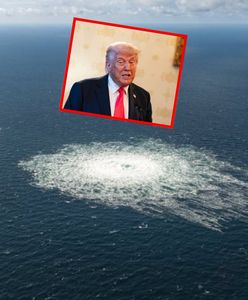 "Dużo ludzi wie". Tajemnicze słowa Trumpa o wysadzeniu Nord Stream