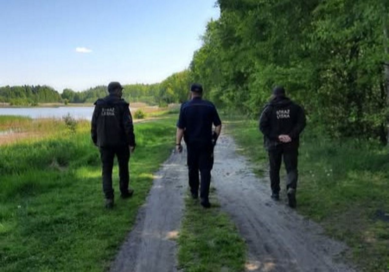 Straż leśna łączy siły z policją i strażą miejską. Będą wzmożone kontrole