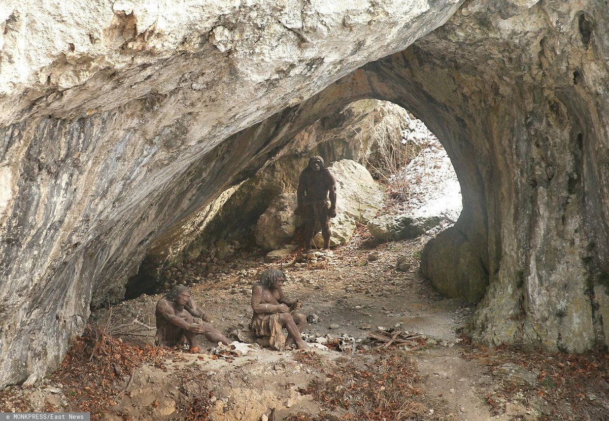 Nie wojny a krzyżowanie się z Homo sapiens mogło doprowadzić do wyginięcia neandertalczyków - zdjęcie poglądowe