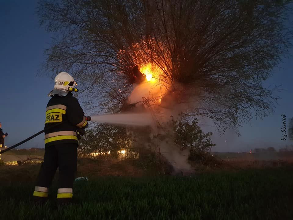 Wyjazd do płonącego drzewa