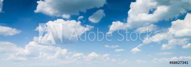 Przykładowa grafika z Adobe Stock