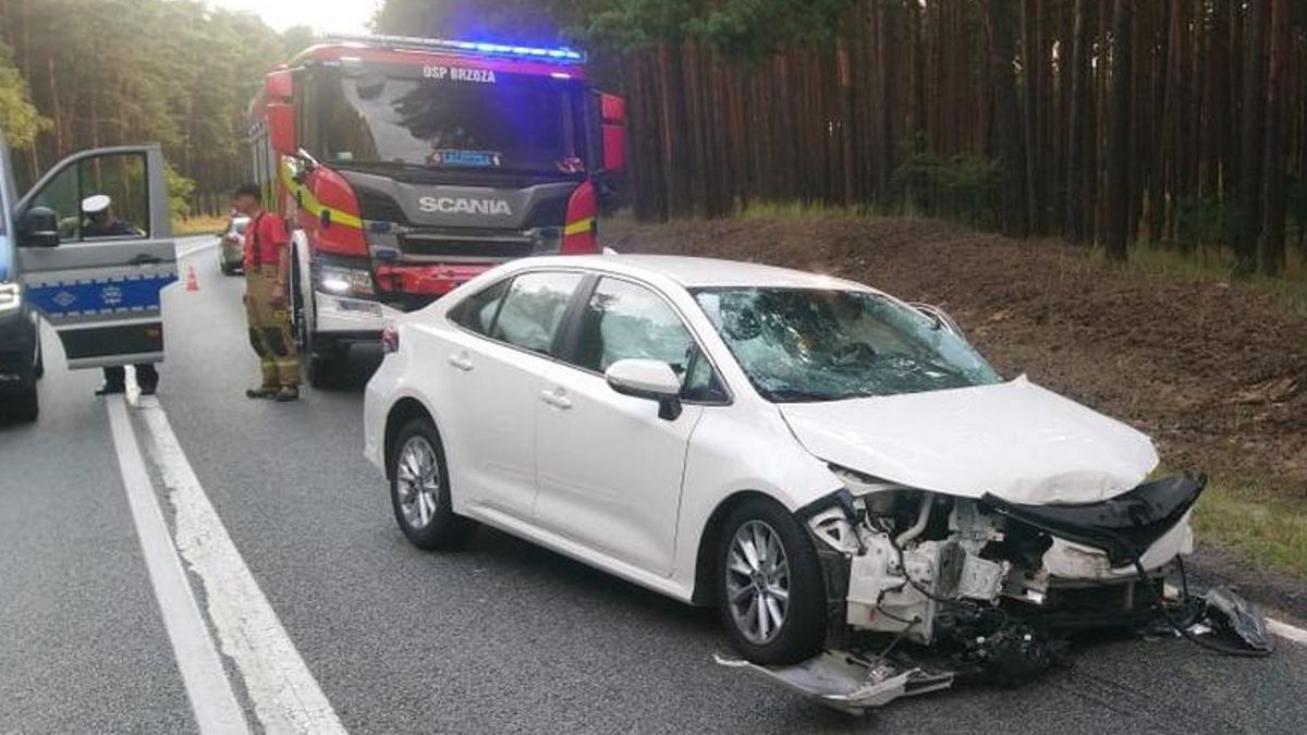 W wypadku zginęła cała rodzina