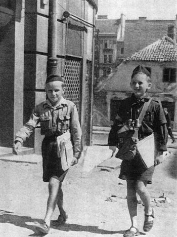 Mali kurierzy wielkiej sprawy. Jaka była rola Harcerskiej Poczty Polowej w Powstaniu Warszawskim?