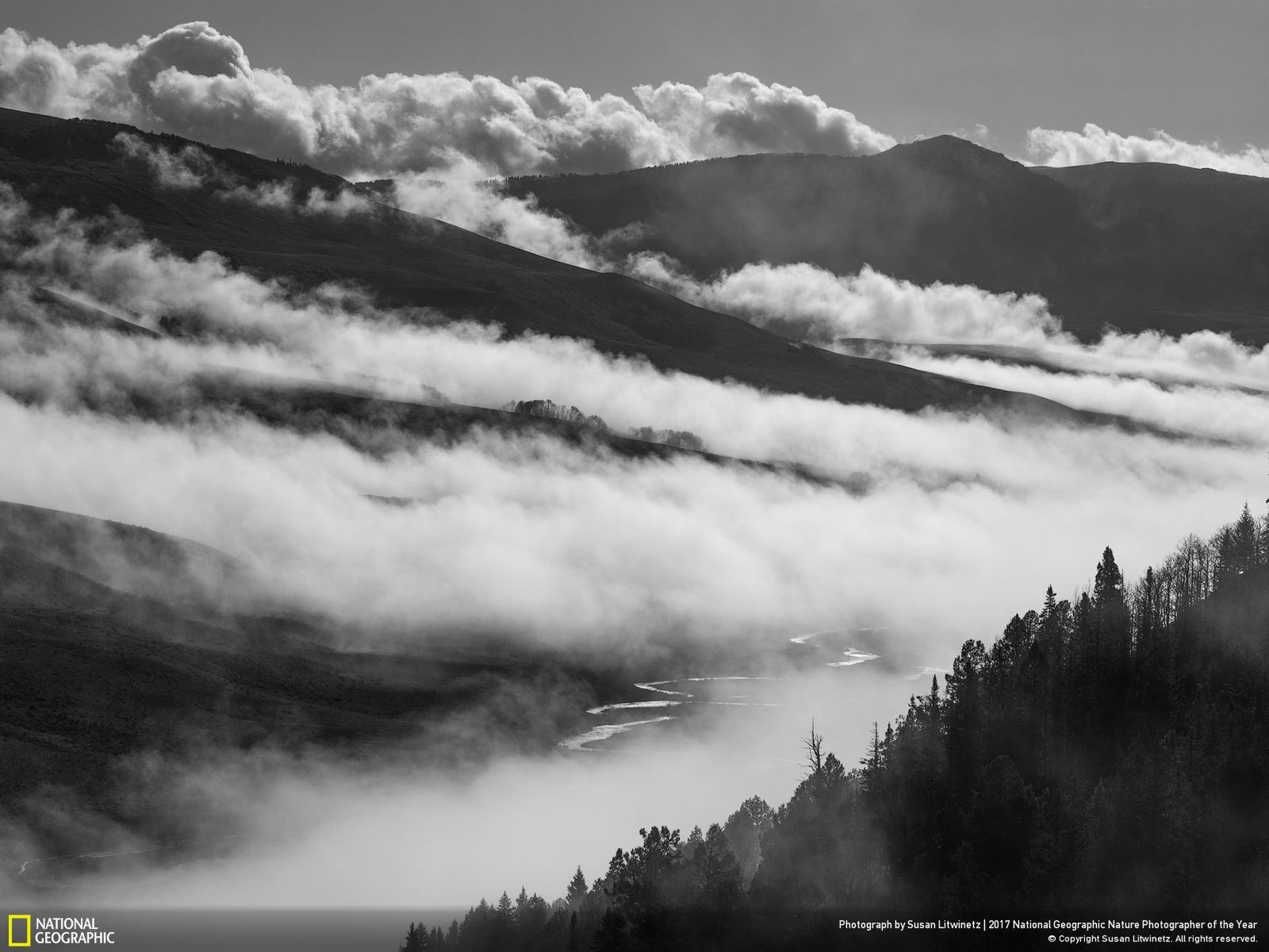 Poznaj najnowsze zgłoszone zdjęcia w konkursie Nat Geo Nature Photographer of the Year 2017 10