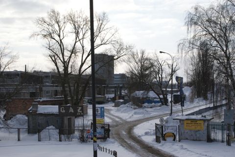 Obraz