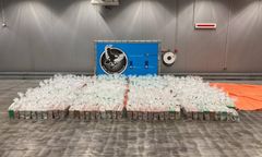 3,5 tony ukryte w skrzynkach. Celnicy przecierali oczy