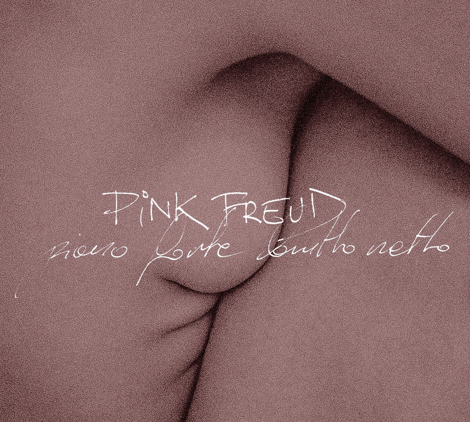 Pink Freud