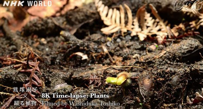 Nadawca publiczny chce obniżki abonamentu RTV