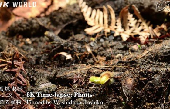 Nadawca publiczny chce obniżki abonamentu RTV