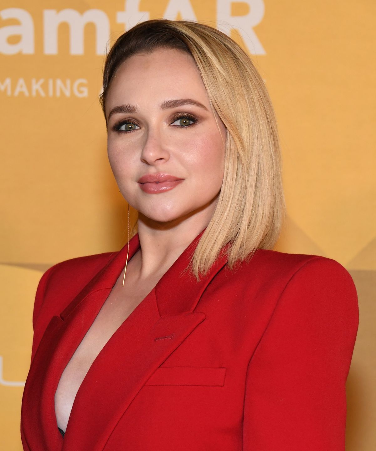 Hayden Panettiere