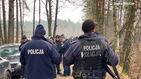 Policja zatrzymała 50 kiboli. W lesie chcieli zorganizować ustawkę