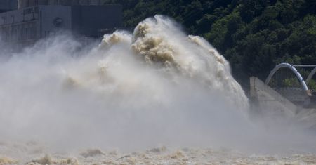 Niezwykły efekt tsunami z 2011 roku. Japońscy naukowcy zbadali rybie hybrydy