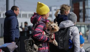 Щеплення, чіпування, корм. На вроцлавському вокзалі працює ветеринарний пункт