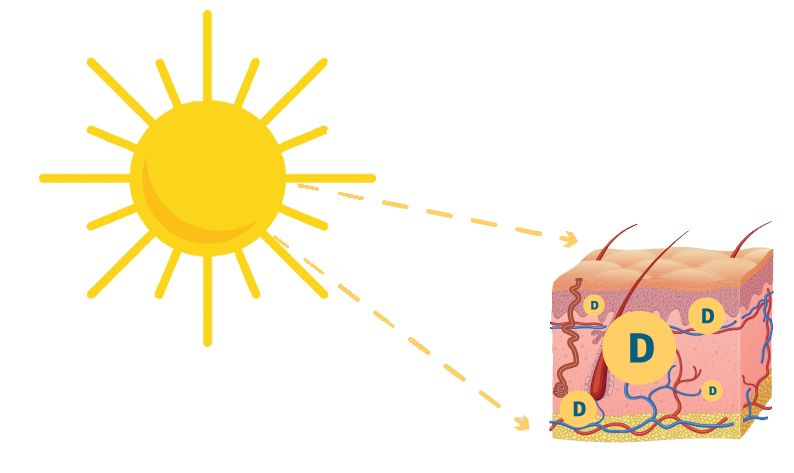 Niedobór witaminy D może mieć negatywne skutki dla naszego organizmu