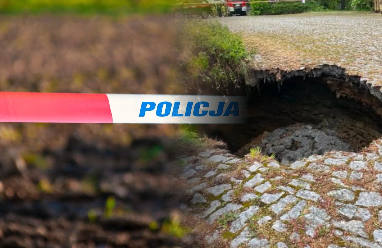 Ziemia zapadła się na posesji. Zaskakujące, co znaleziono w wyrwie