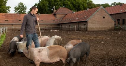 Mniej pieniędzy na zwalczanie chorób zwierząt
