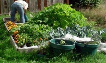 Polacy pracują w Holandii jak niewolnicy