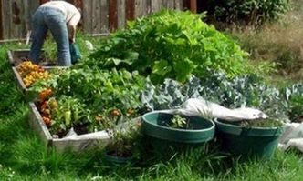 Mieszkańcy Ogrodzieńca nie mogą podlewać ogródków wodą z sieci