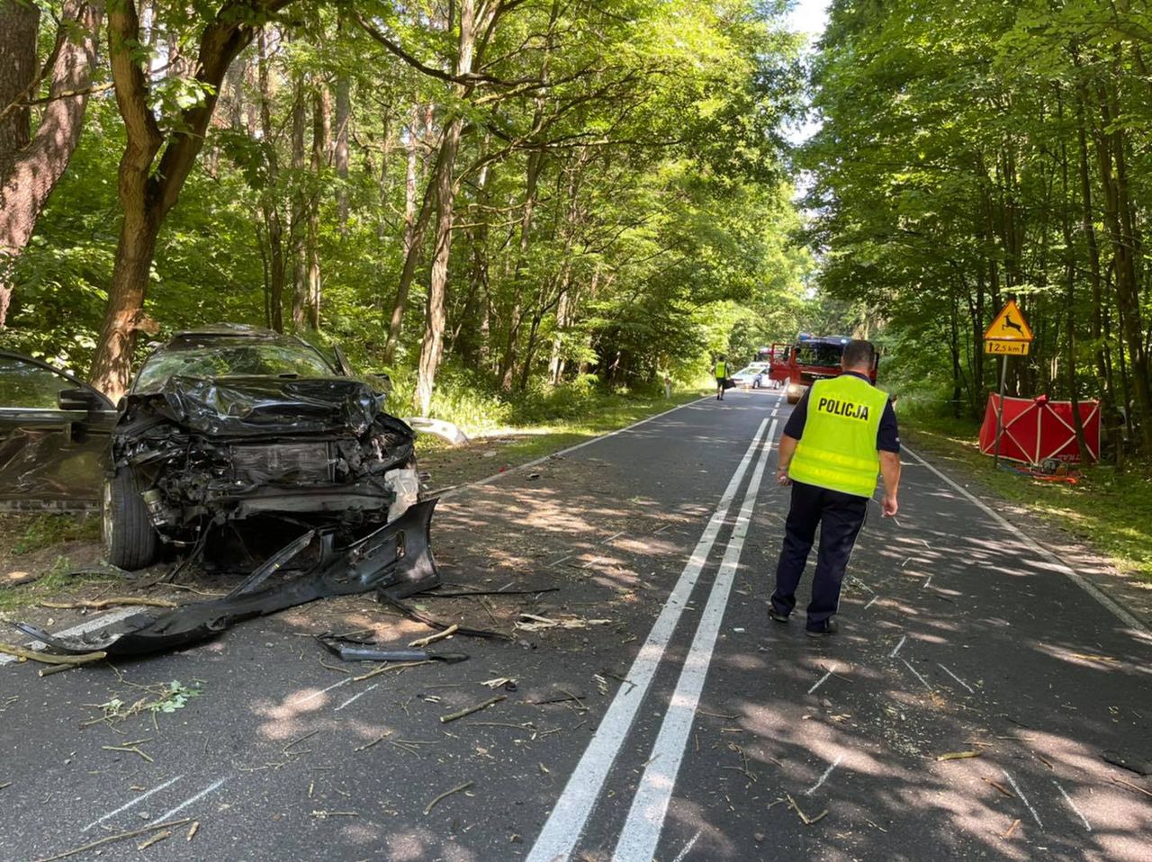 Tragedia pod Gnieznem. W akcji LPR