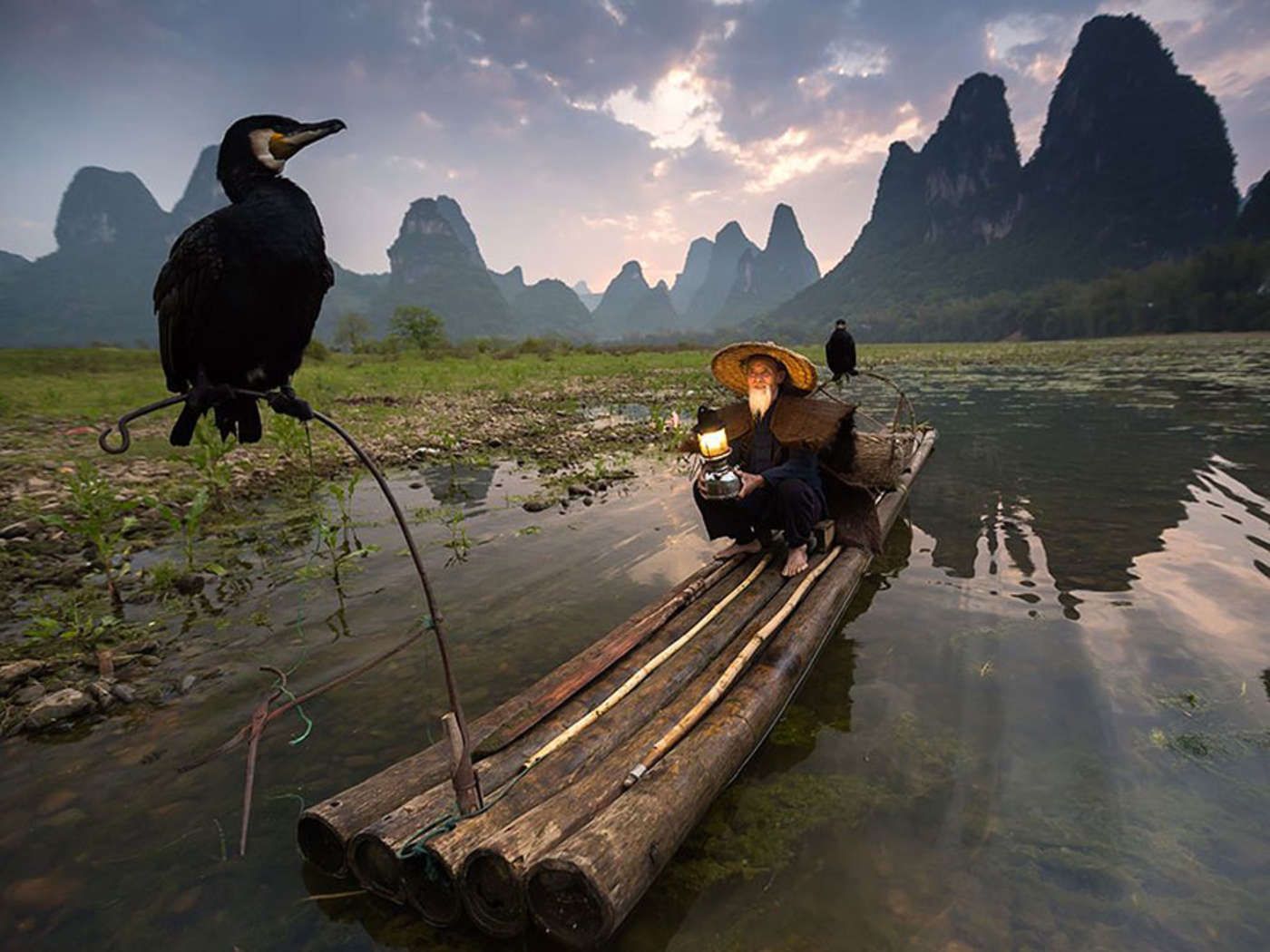 Zobacz najpopularniejsze zdjęcia National Geographic 2015 roku 15