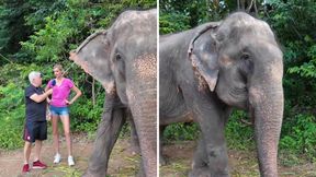 Ta rozmowa przejdzie do historii. Komentatorzy Polsatu przeszli samych siebie