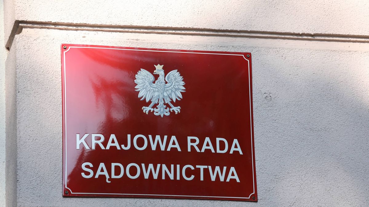 "DGP" informuje o tym, że niektórzy członkowie KRS znaleźli sposób na "dorobienie"