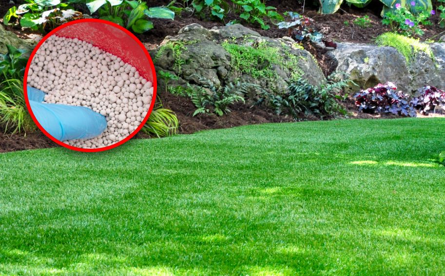 Harnstoff im Garten: So wird der Rasen satt und grün