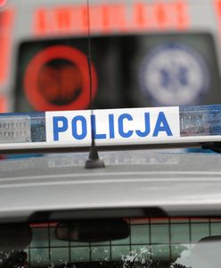 Makabryczne odkrycie koło Warszawy. Zwłoki przy centrum handlowym