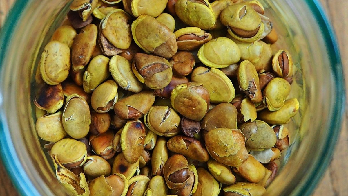 Prażony bób w miseczce