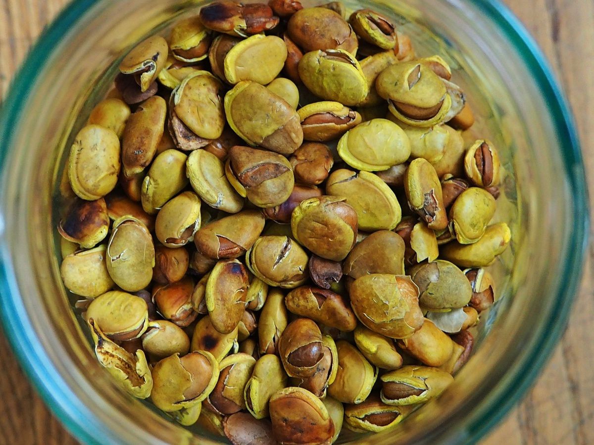 Roasted broad beans in a bowl