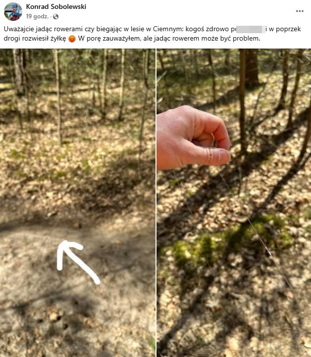 Zobaczył żyłkę w lesie.