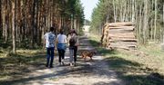 Park narodowy apeluje. "To nie spacer. To łamanie prawa"