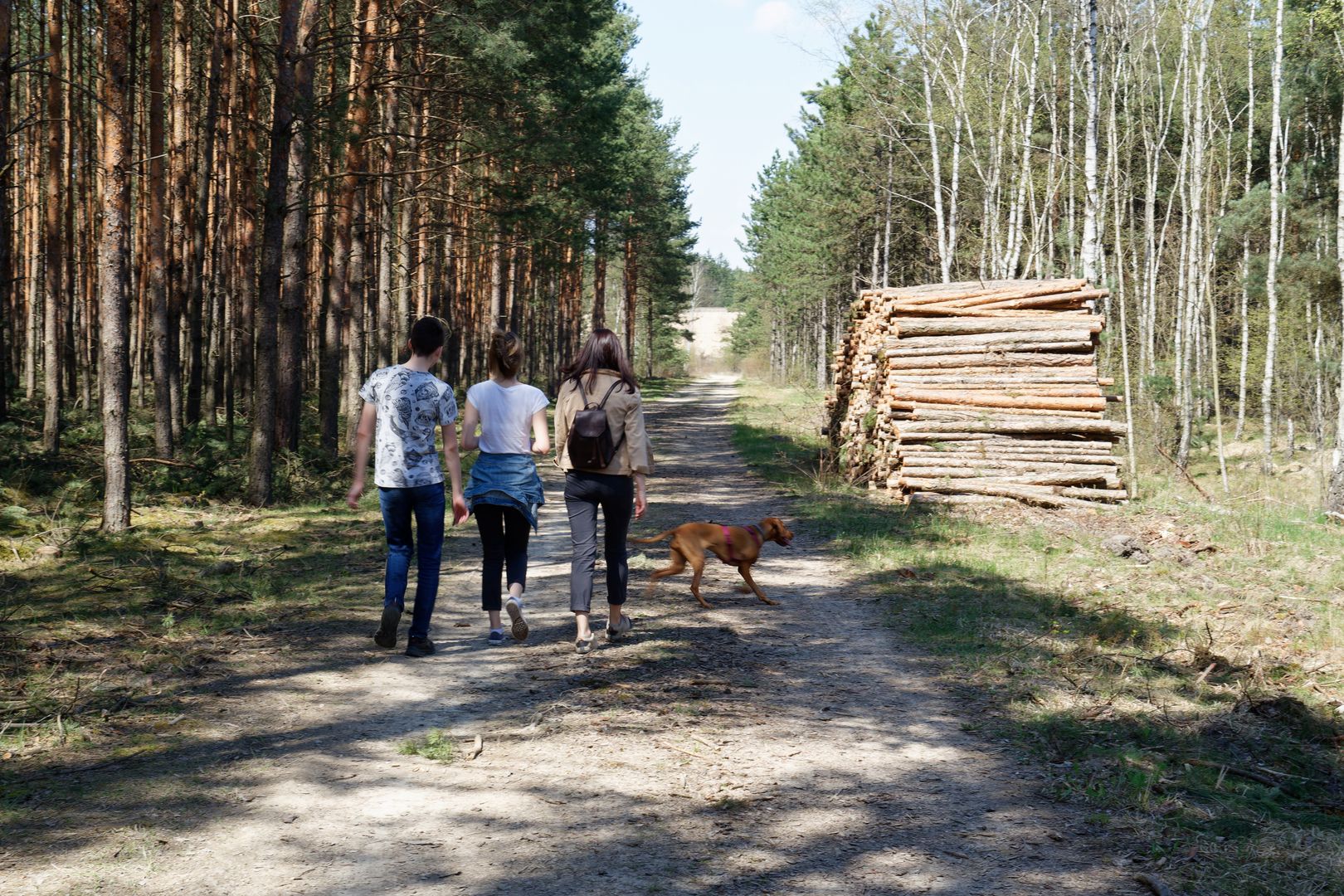 Spacery z psami nie są wszędzie dozwolone