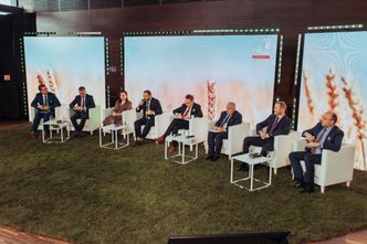 Inwestycje w odnawialne źródła energii z punktu widzenia BGK