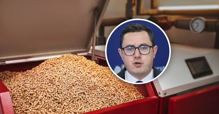 Pellet drożeje. Minister energii zapowiada reakcję rządu