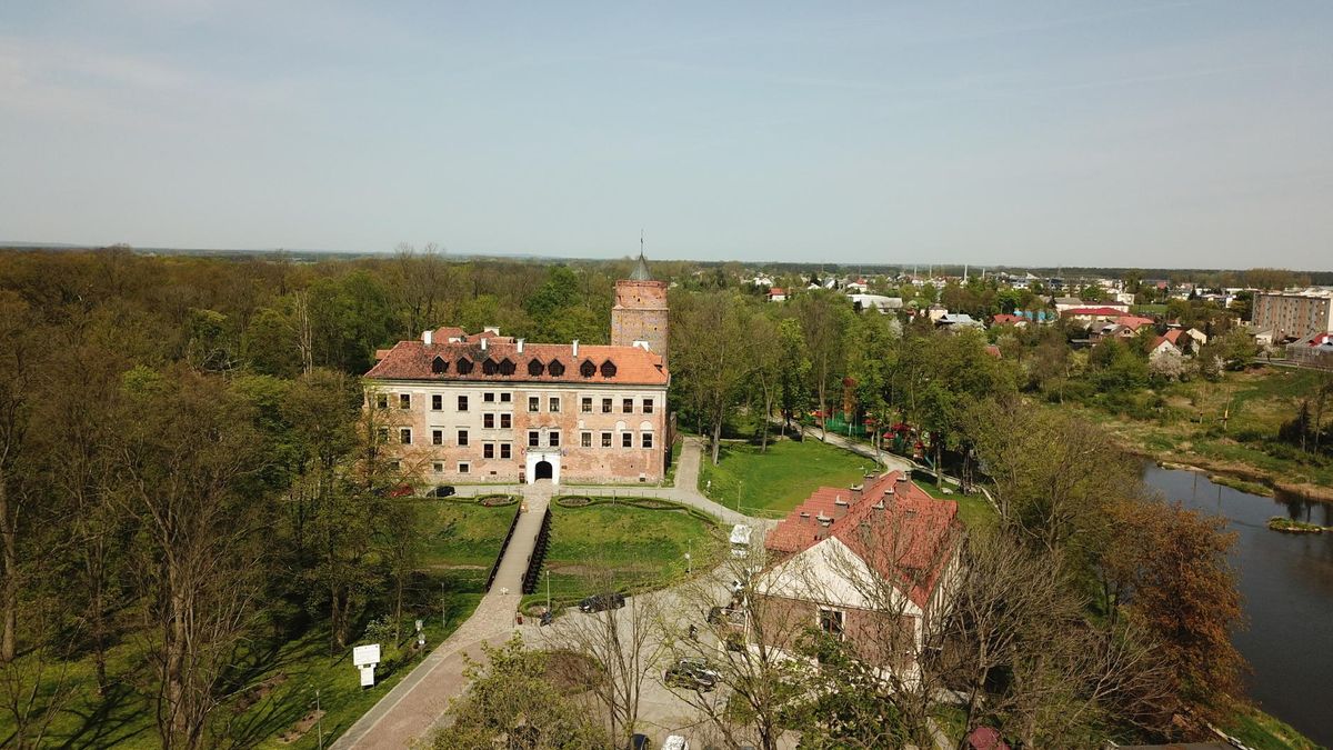 Obraz
