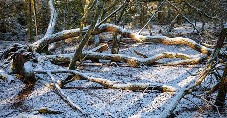 Sztorm w europejskim kraju. Takich zniszczeń nie było od dekady